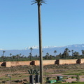 Marrakech-052